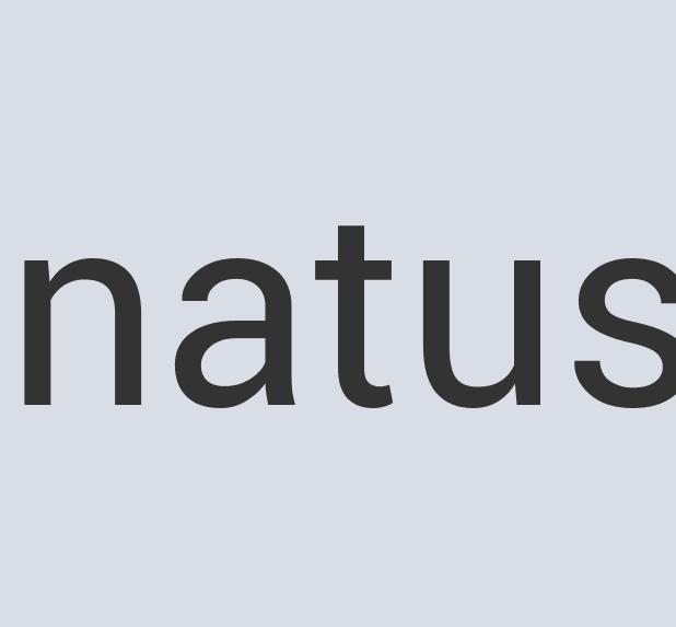 Enormous Wooden Miracle Massage