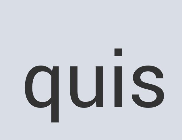 Ergonomic Leather Turtle Magic