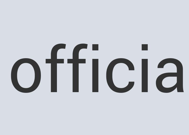 Aerodynamic Leather Zanymax